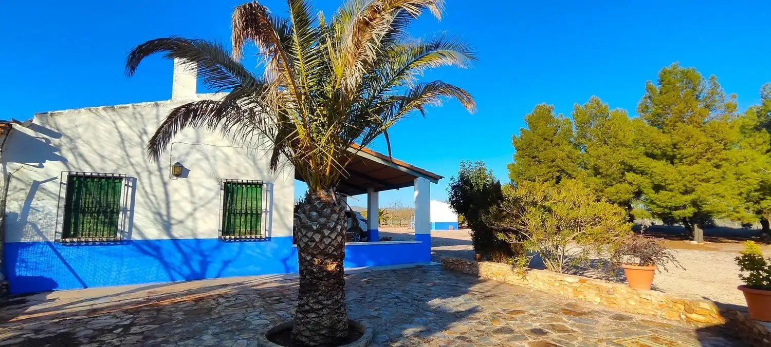 Vista exterior de Casa o chalet en venta en La Solana   con Jardín privado, Terraza y Trastero