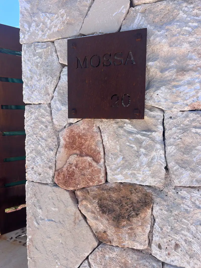 Xalet amb piscina en venda a Carrer des Pins de na Mossa, imagen 12