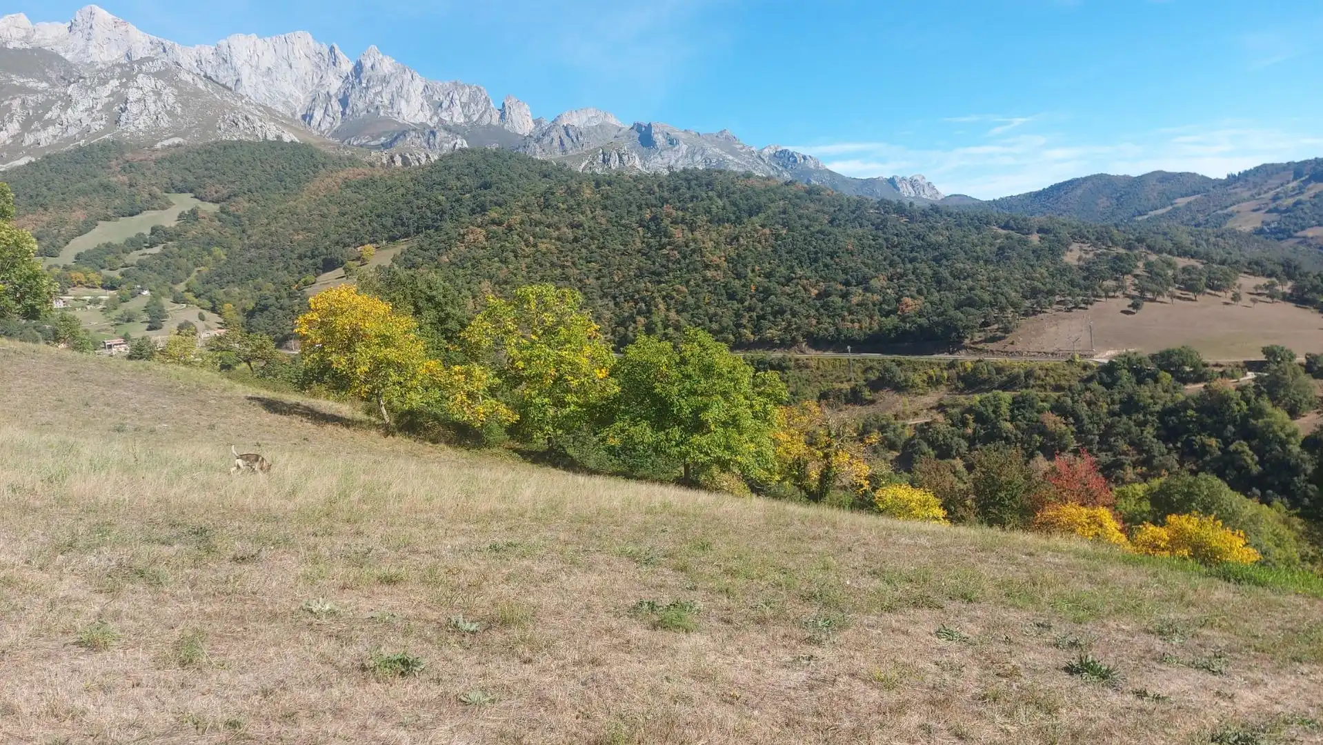 Grundstücke zum Verkauf in Camaleño