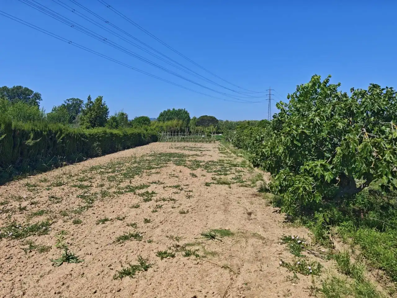Terreno en venta en Blanes