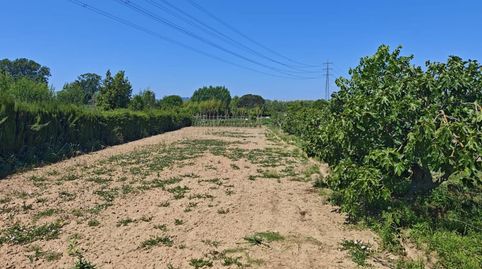 Foto 5 de Terreno en venta en Poligono 6, Mas Florit - Ca la Guidó, Blanes