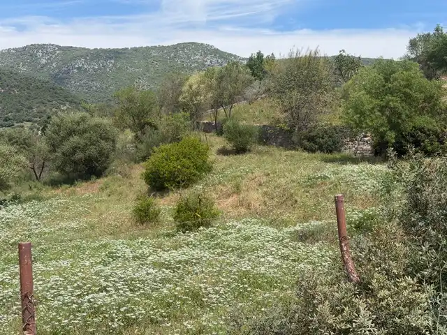 Terrain rustique à vendre à Lugar Tavizna, imagen 4
