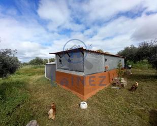 Land for sale in Hinojosa del Duque