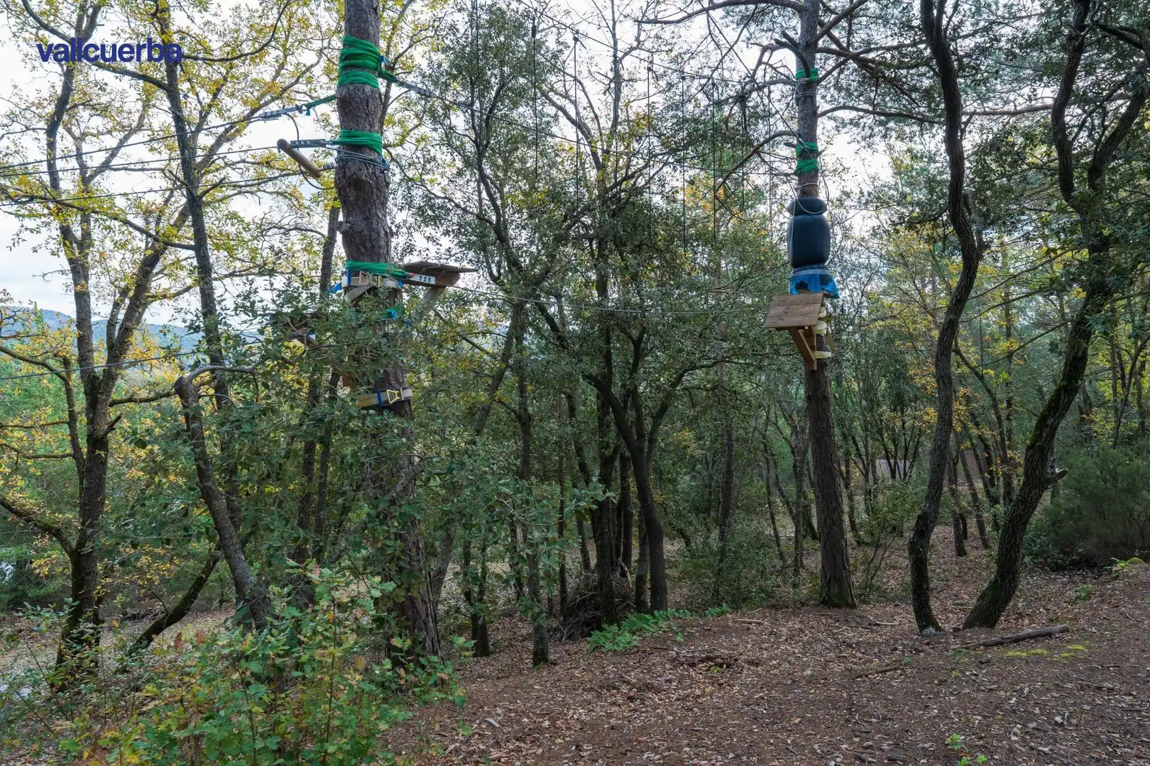Terreno rústico en venta en Prades, imagen 17