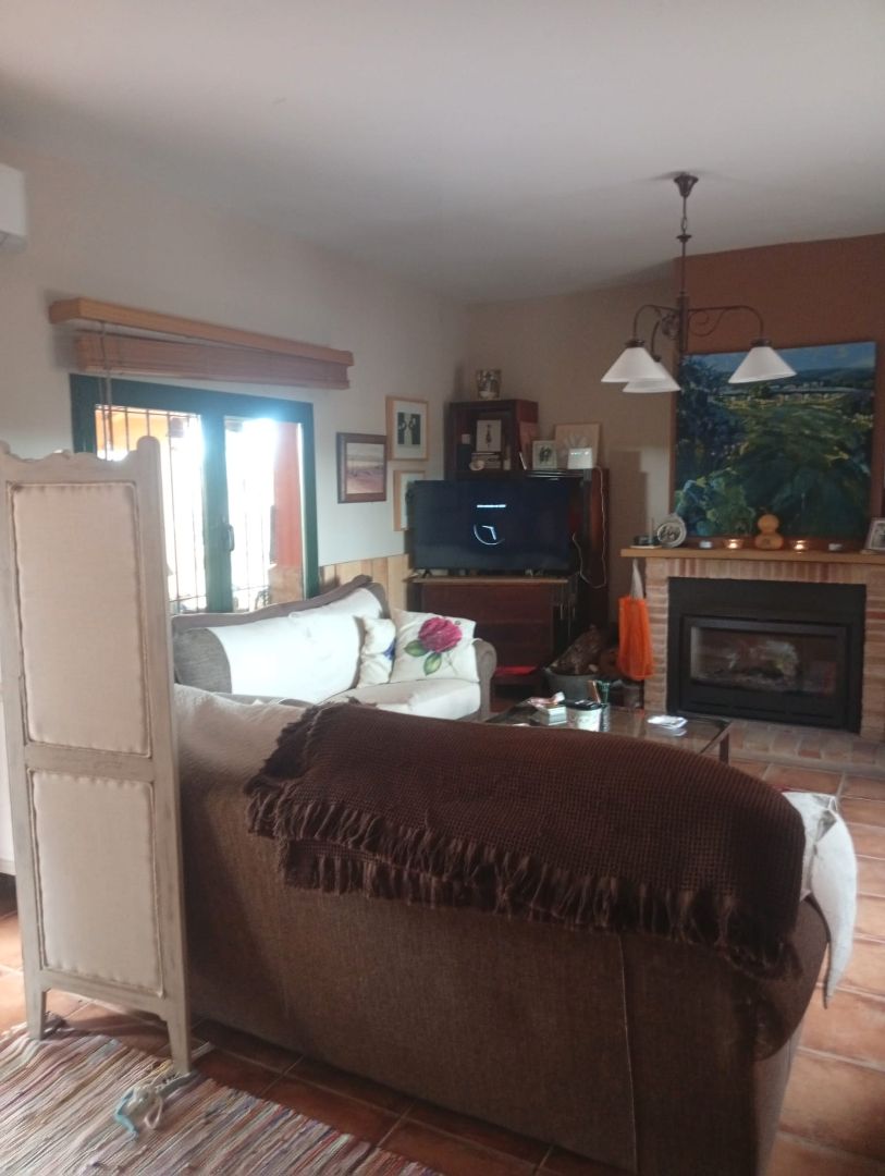 Living room of House or chalet for sale in Ciudad Real Capital  with Air Conditioner, Private garden and Swimming Pool