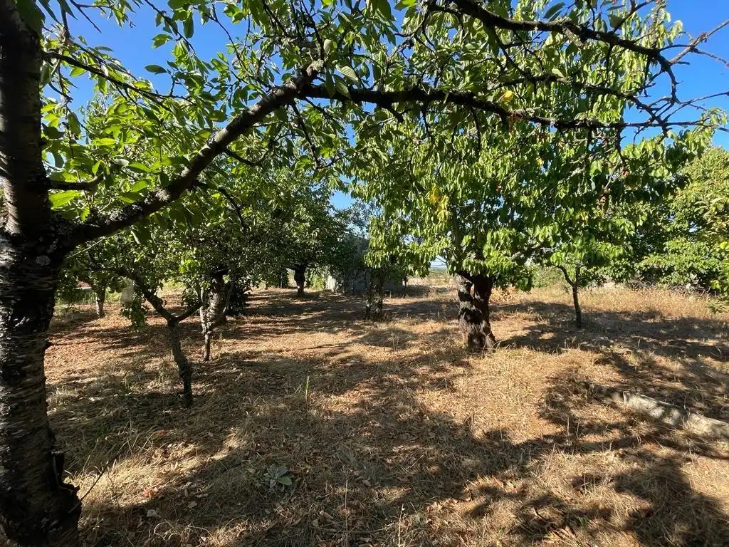 Terreno en venta en Camponaraya