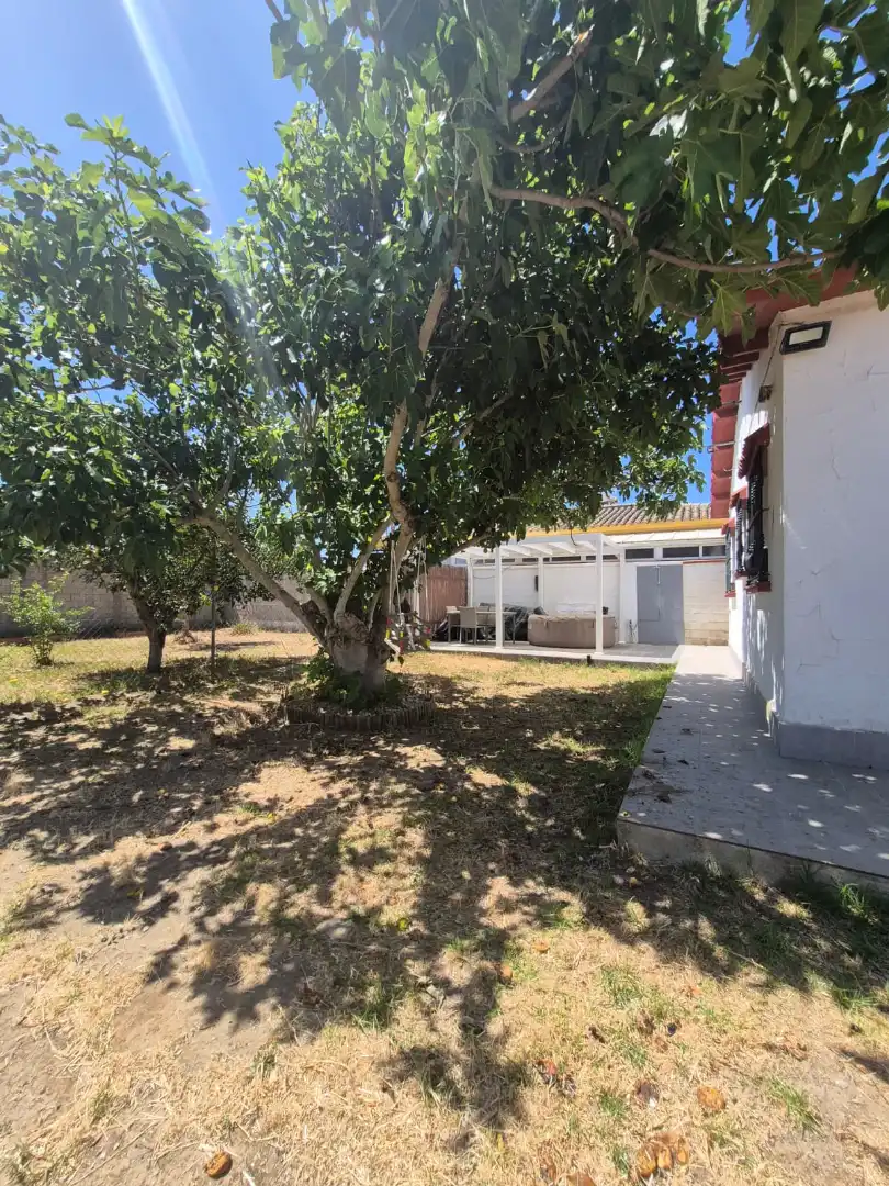 Jardín de Casa o chalet en venta en Chiclana de la Frontera
