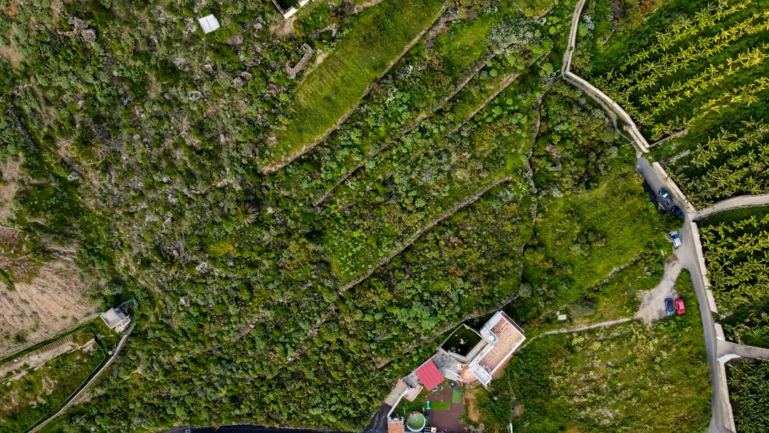 Finca rústica en venta en Moya (Las Palmas)