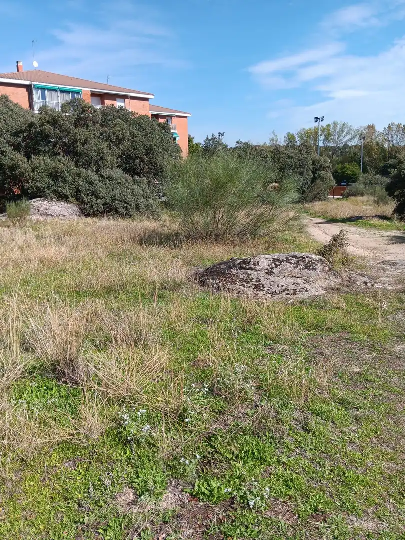 Terreno residencial en venta en Calle de Madrid 20, imagen 18