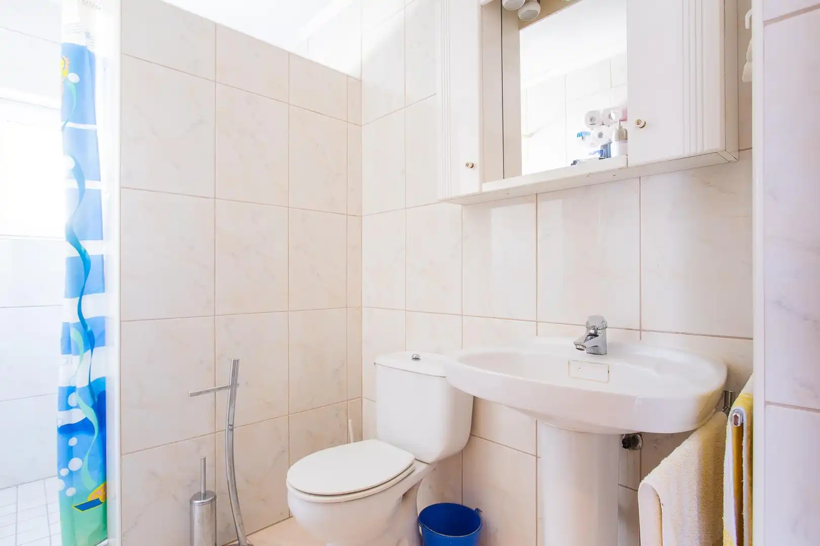 Bathroom of Houses for sale in Torrevieja  with Private garden