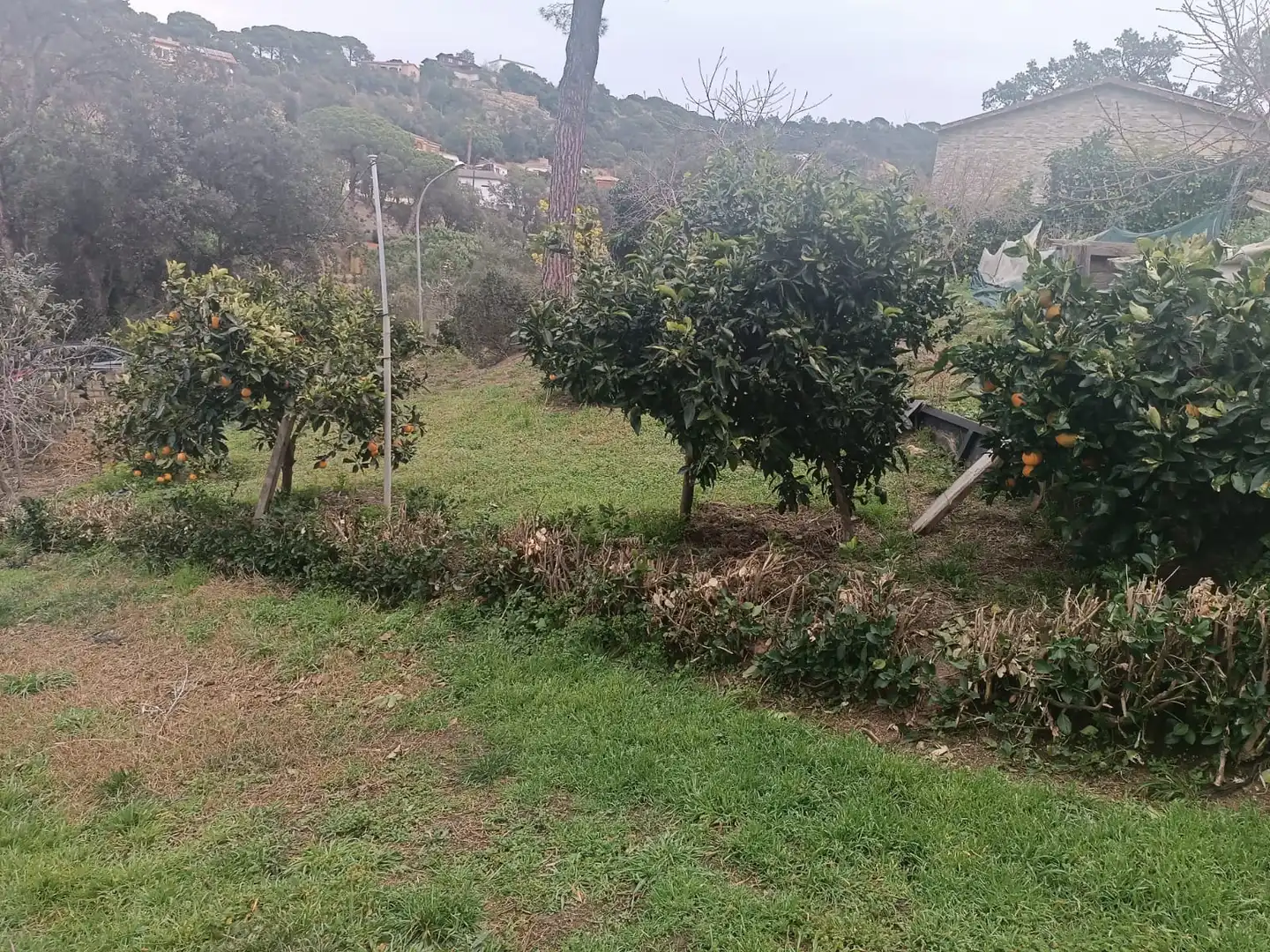 Terreno residencial en venta en Lloret Residencial - Montlloret, imagen 7