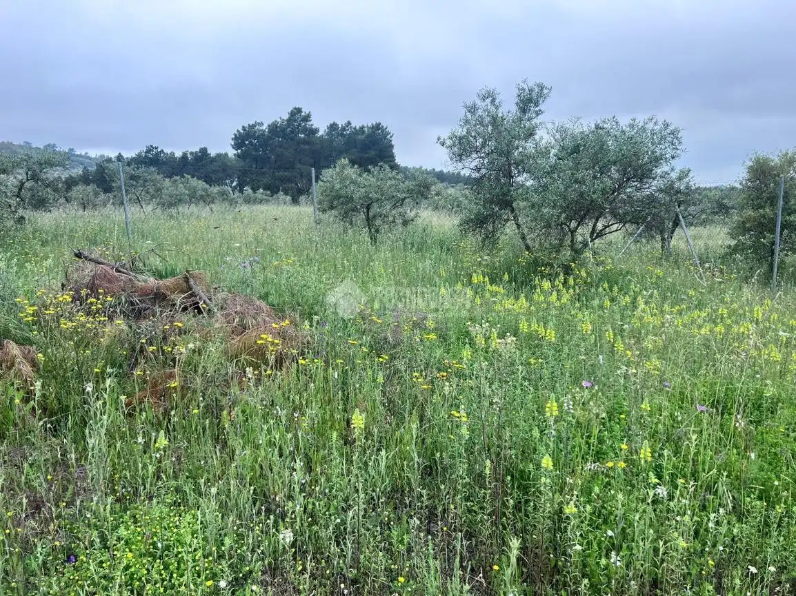 Finca rústica en venta en Puebla de Obando