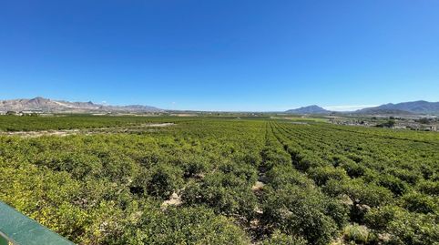 Foto 5 de Terreny en venda a Fortuna, Murcia