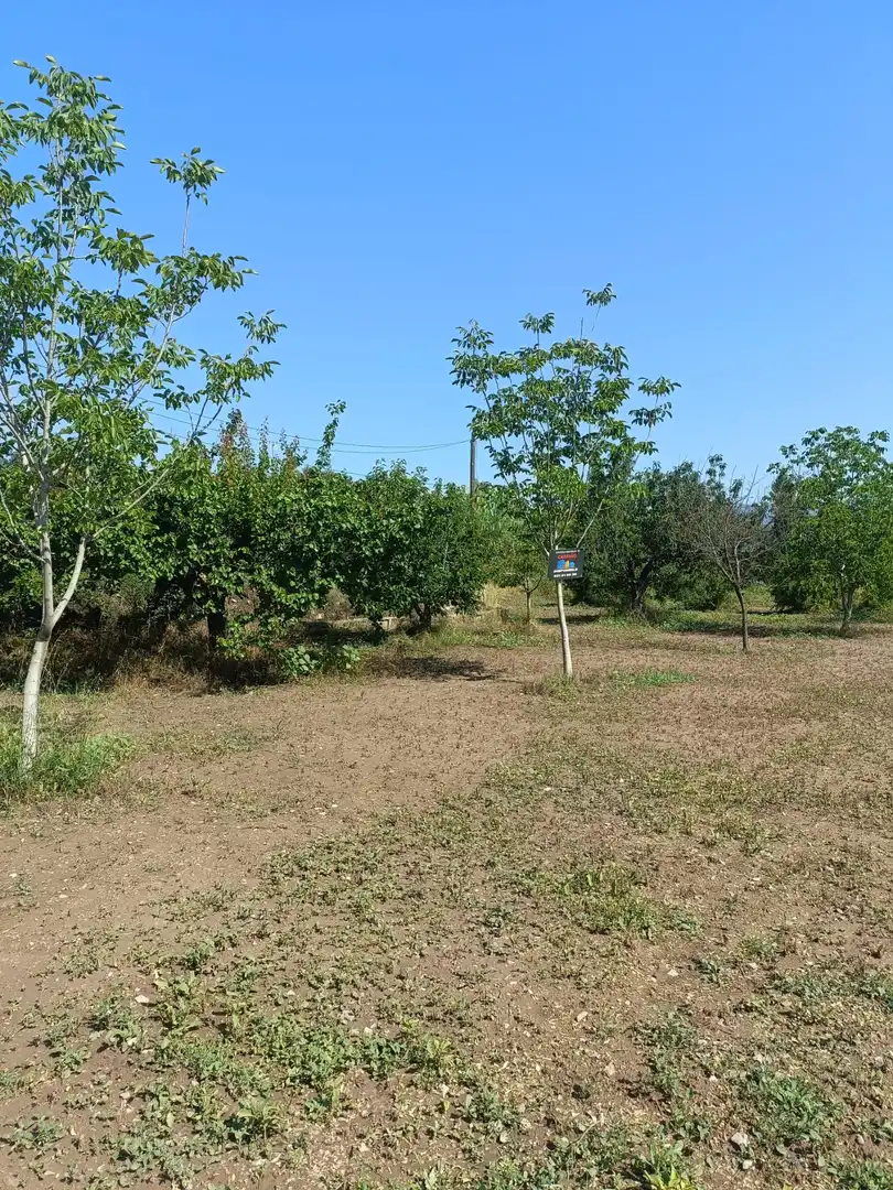 Terreno en venta en Jérica