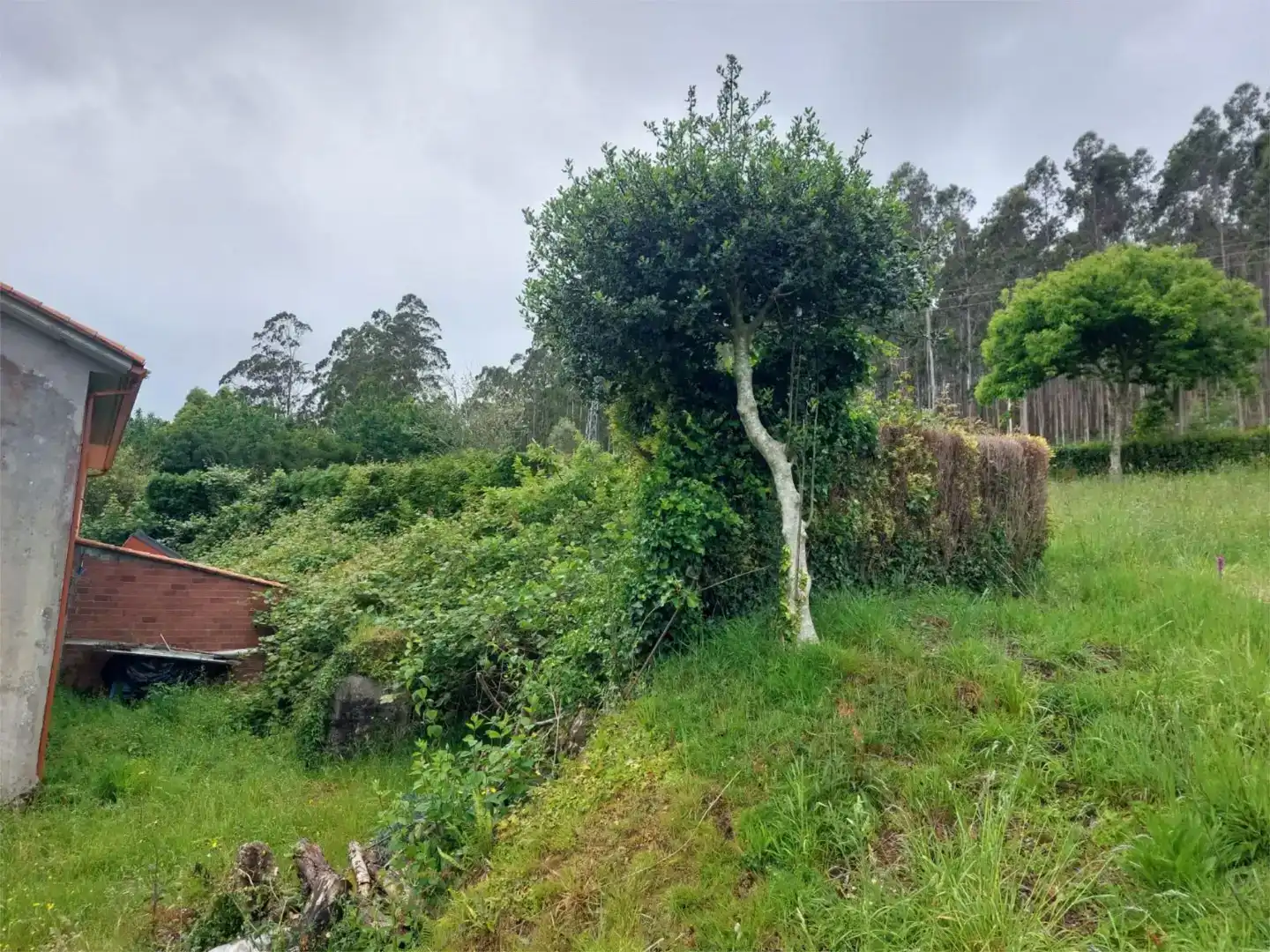 Finca rústica en venda en Cerdido