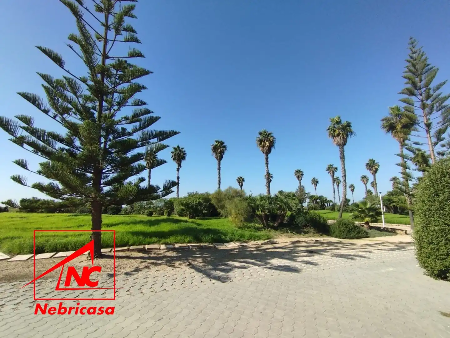 Local comercial en venda a Las Tres Piedras - Costa Ballena, imagen 6