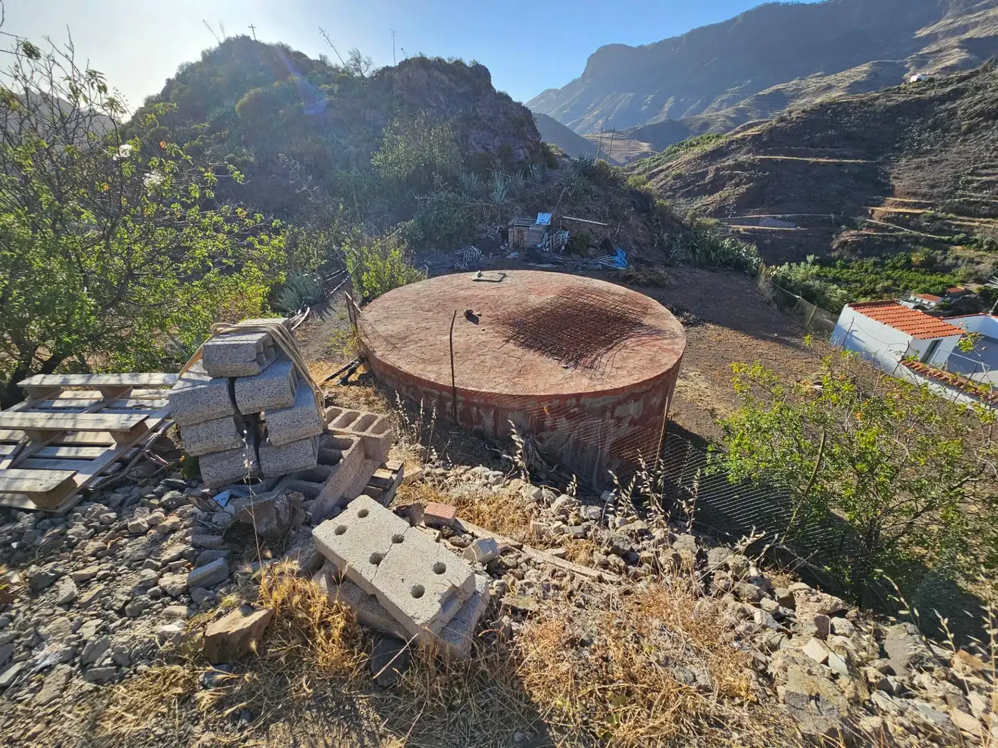 Vista exterior de Finca rústica en venta en Tejeda