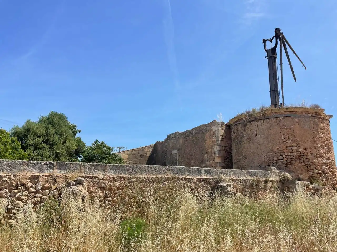 Terreny rústic en venda a Sa Pobla, imagen 9