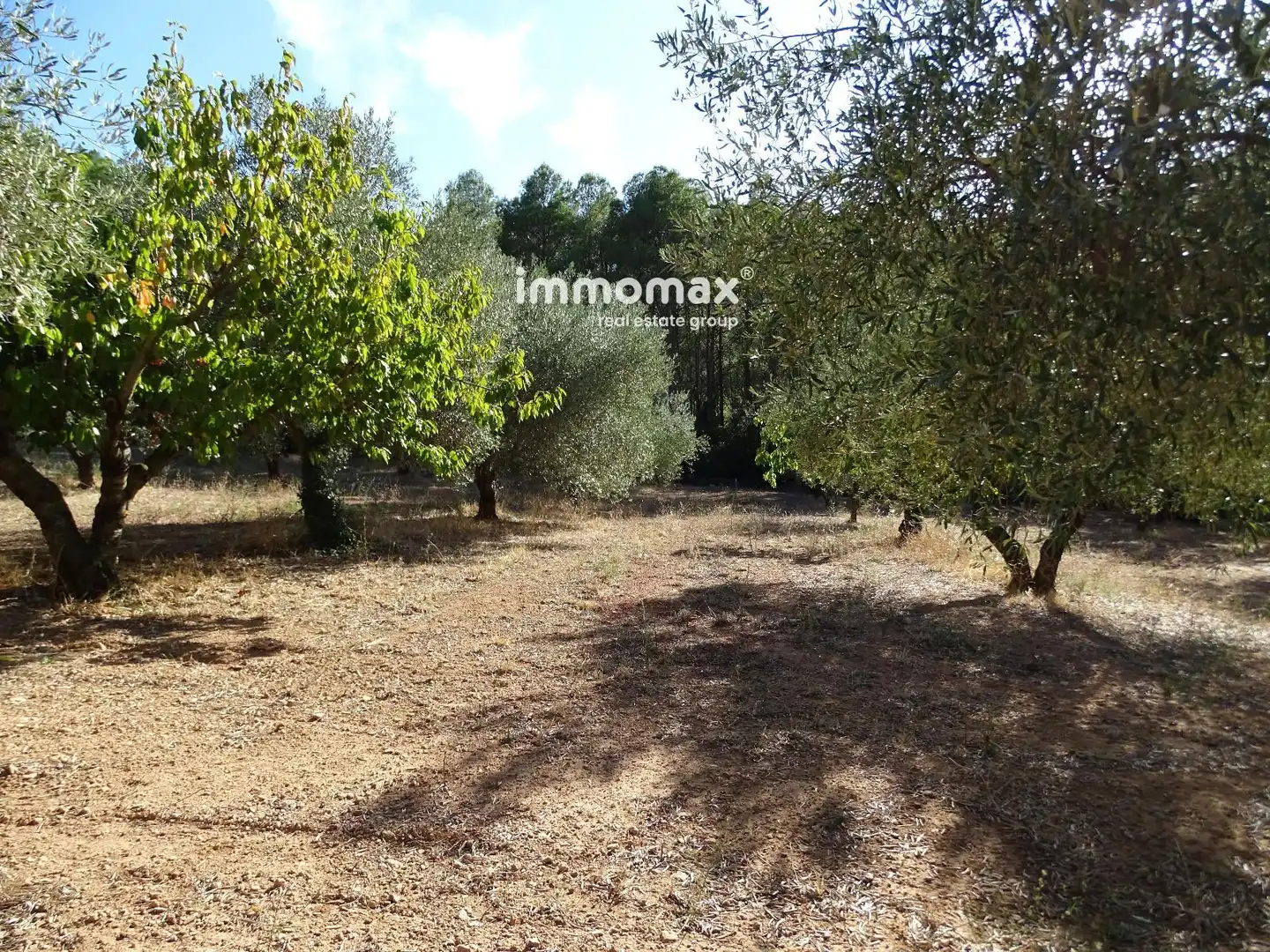 Terreno en venta en Paüls