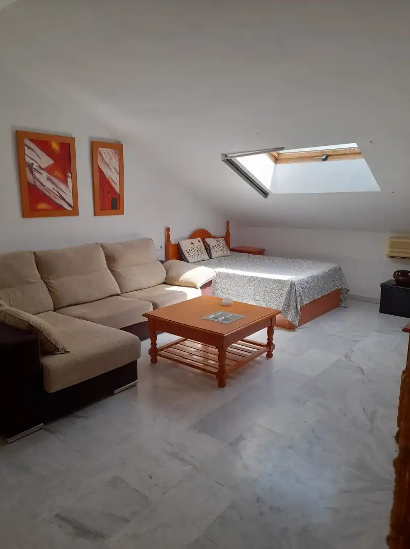 Living room of Apartments for sale in Málaga Capital  with Furnished, Washing machine and Microwave