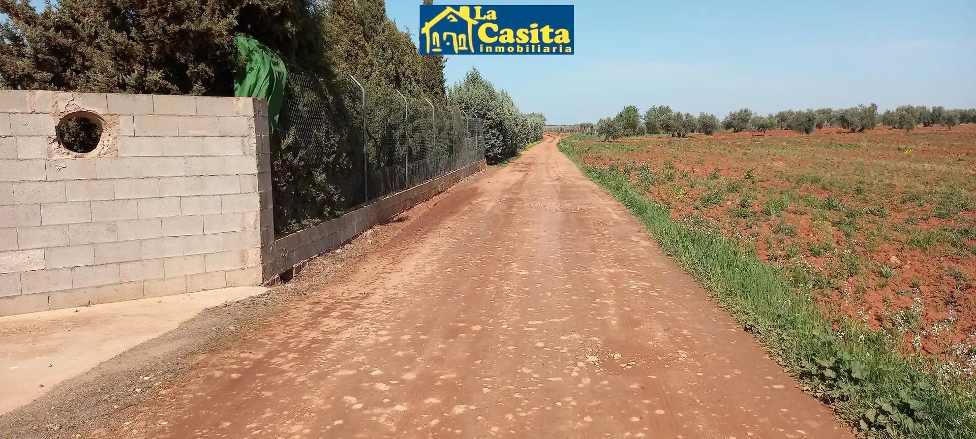 Nau industrial en venda a Almagro, imagen 8
