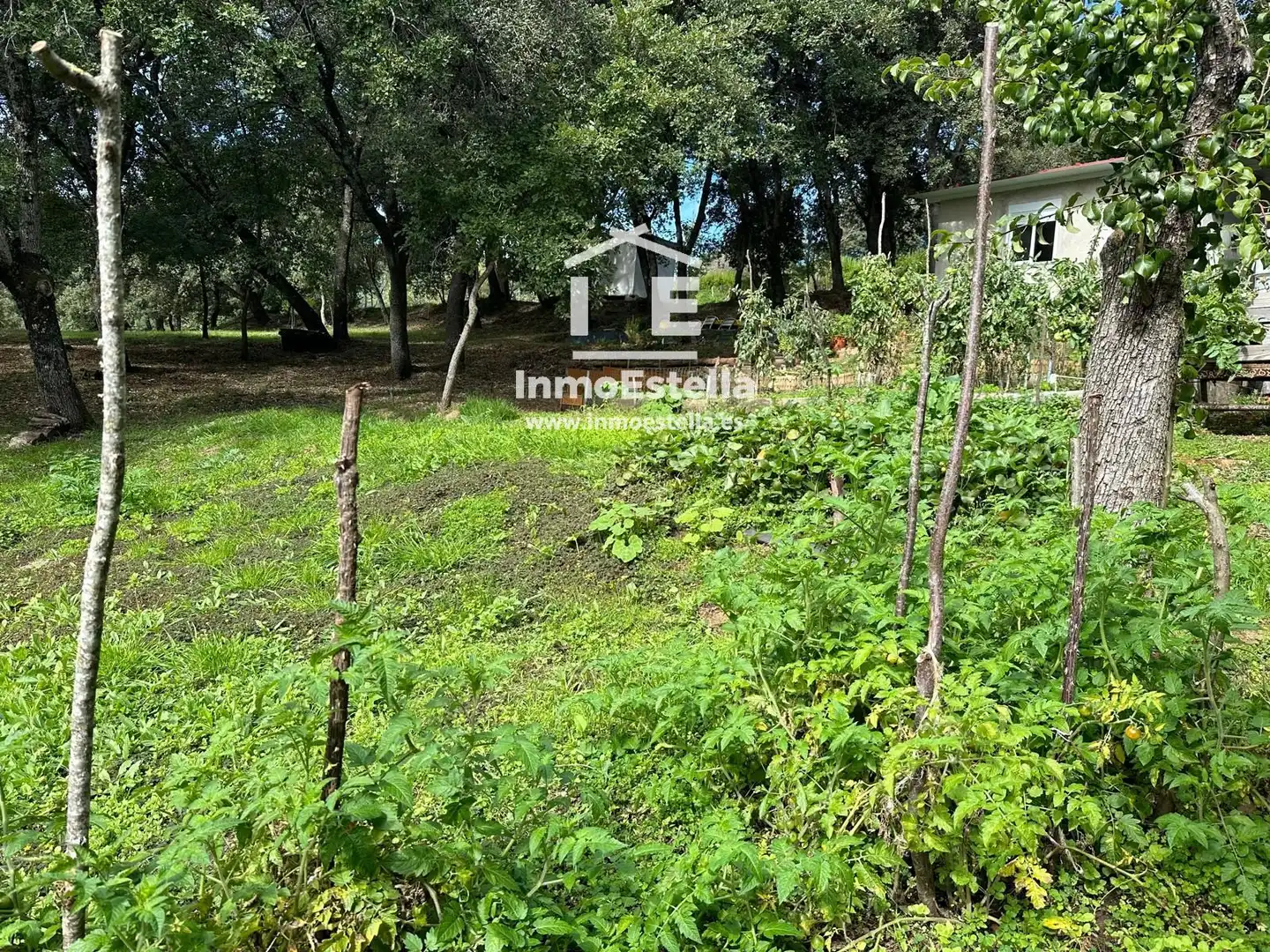 Residential for sale in Goñi