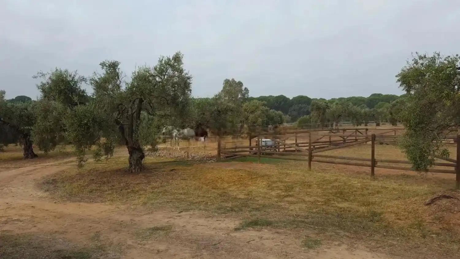 Finca rústica en venda en Villamanrique de la Condesa amb Jardí privat i Traster