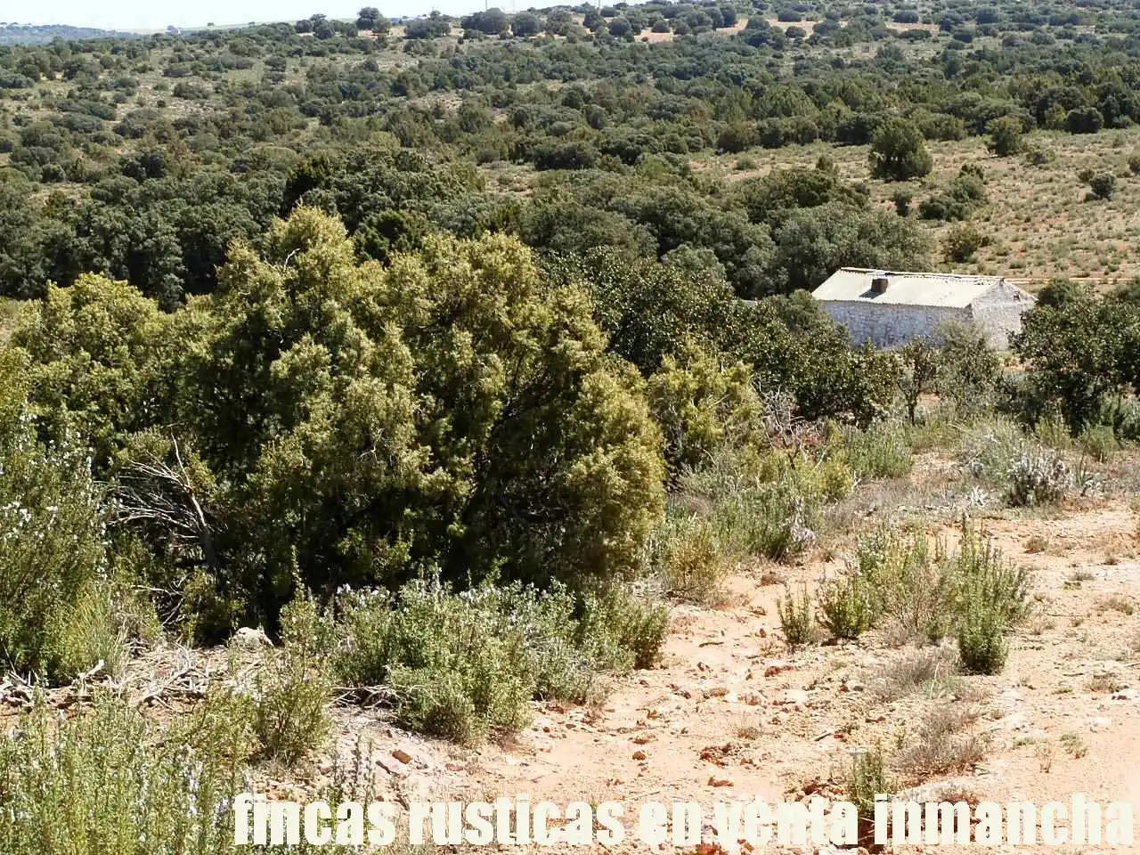 Lands and plots for sale in Ossa de Montiel, imagen 22