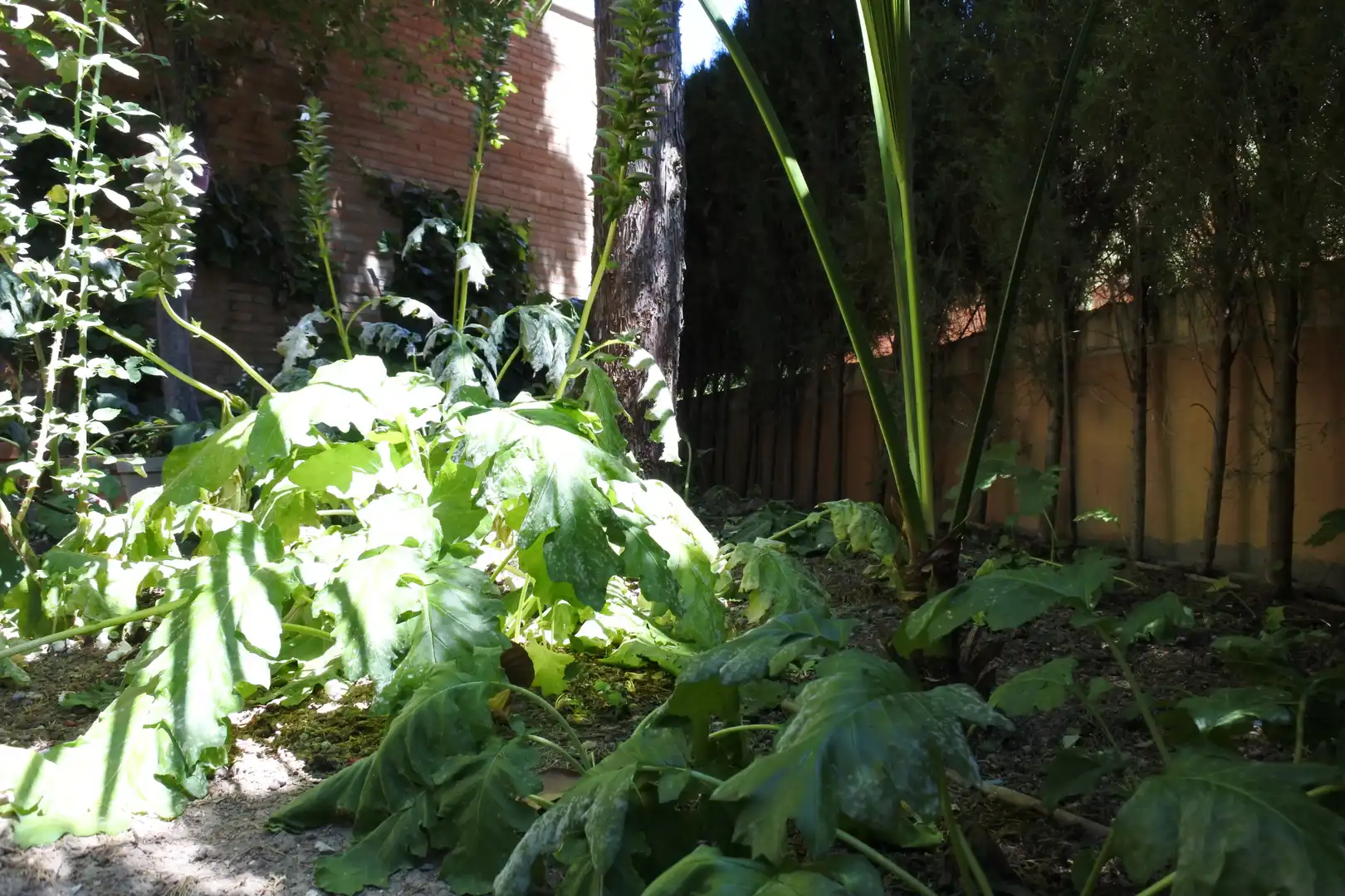 Jardín de Piso para compartir en Granada con Aire acondicionado, Calefacción y Jardín privado