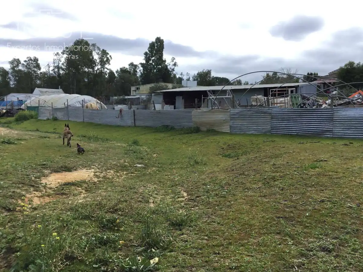 Casa rústica con piscina en venta en Almonte ciudad, imagen 30