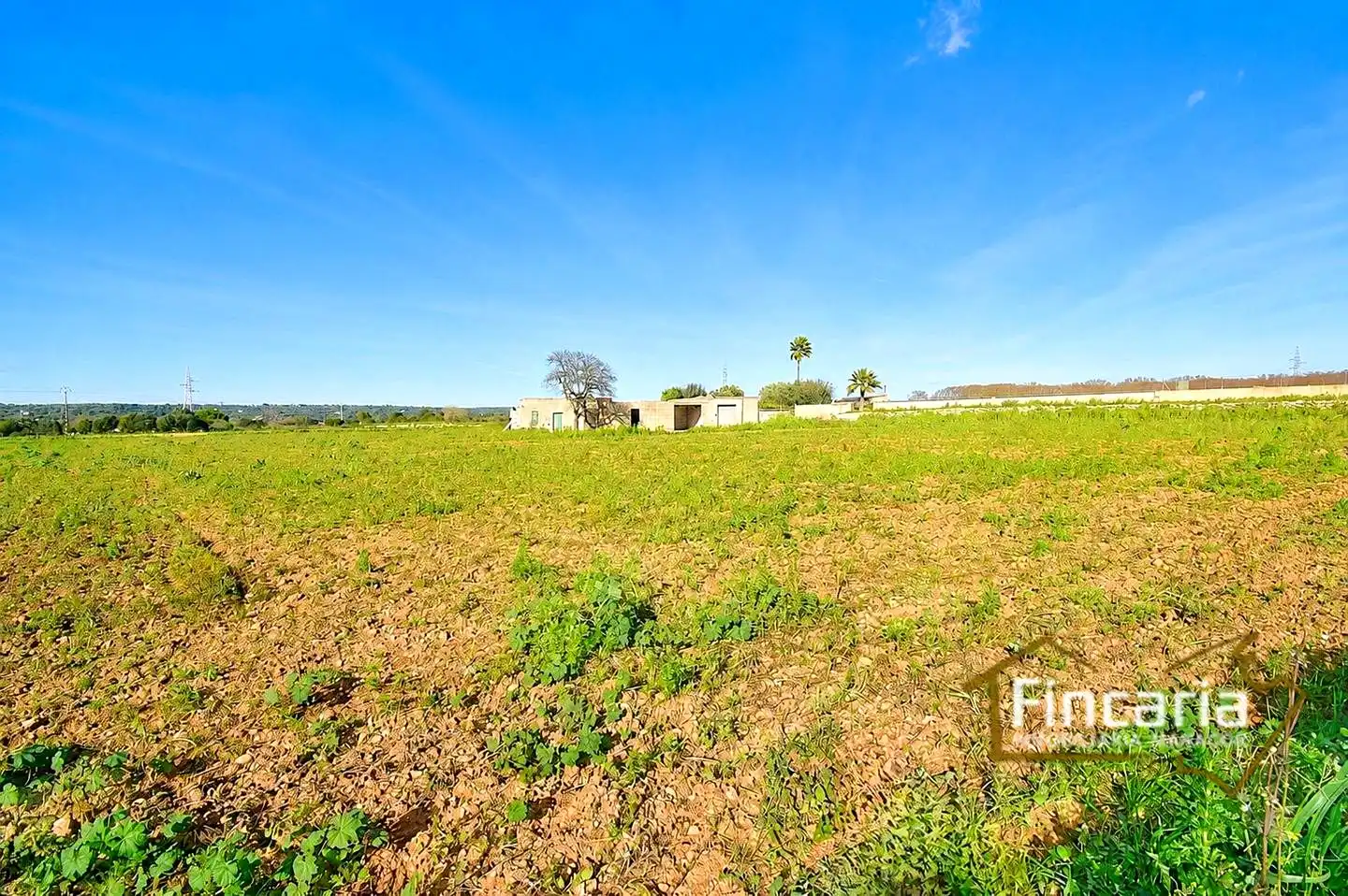 Country house zum Verkauf in Manacor