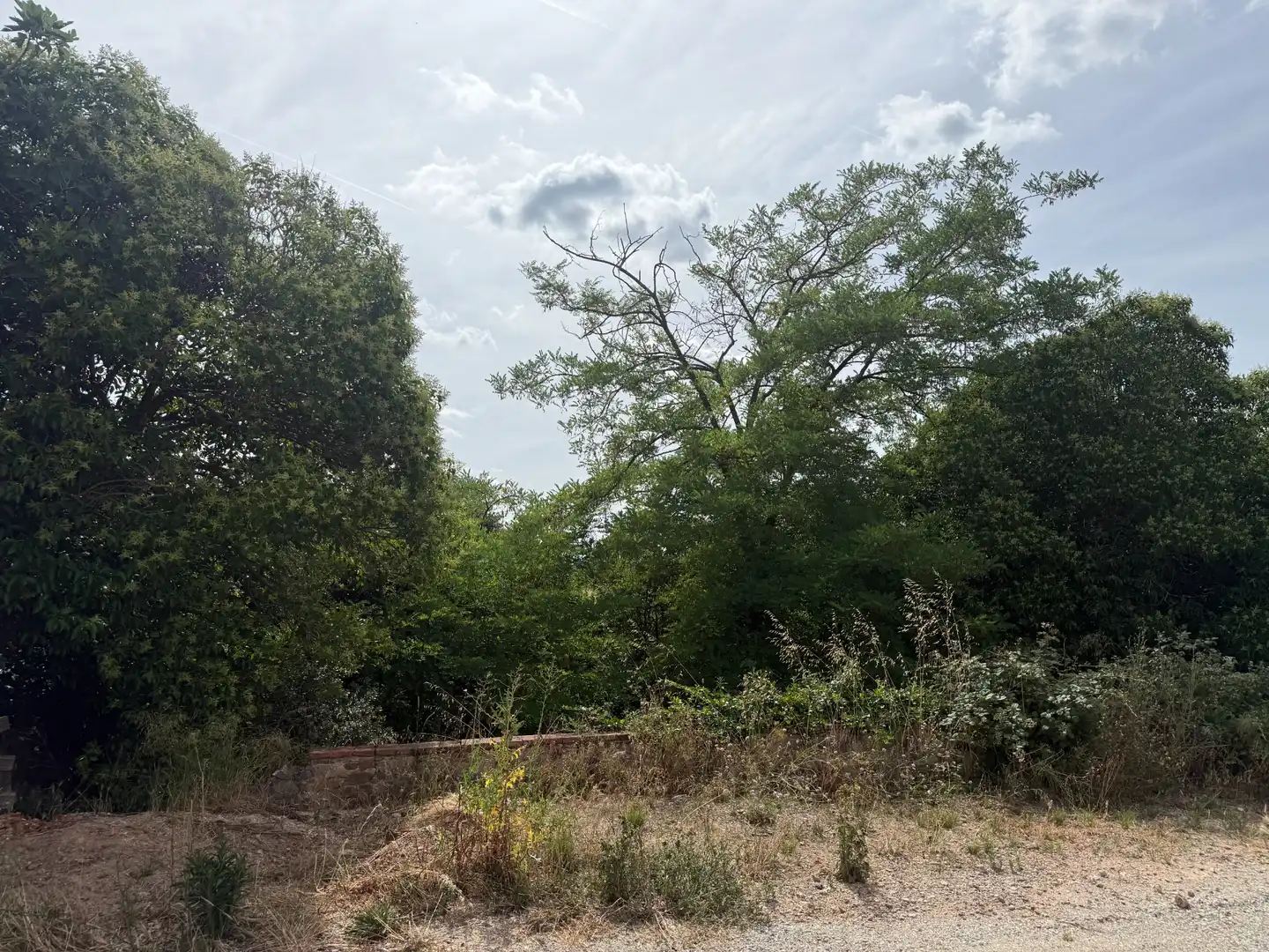 Terreny residencial en venda a Carrer de Tortosa 11, imagen 19