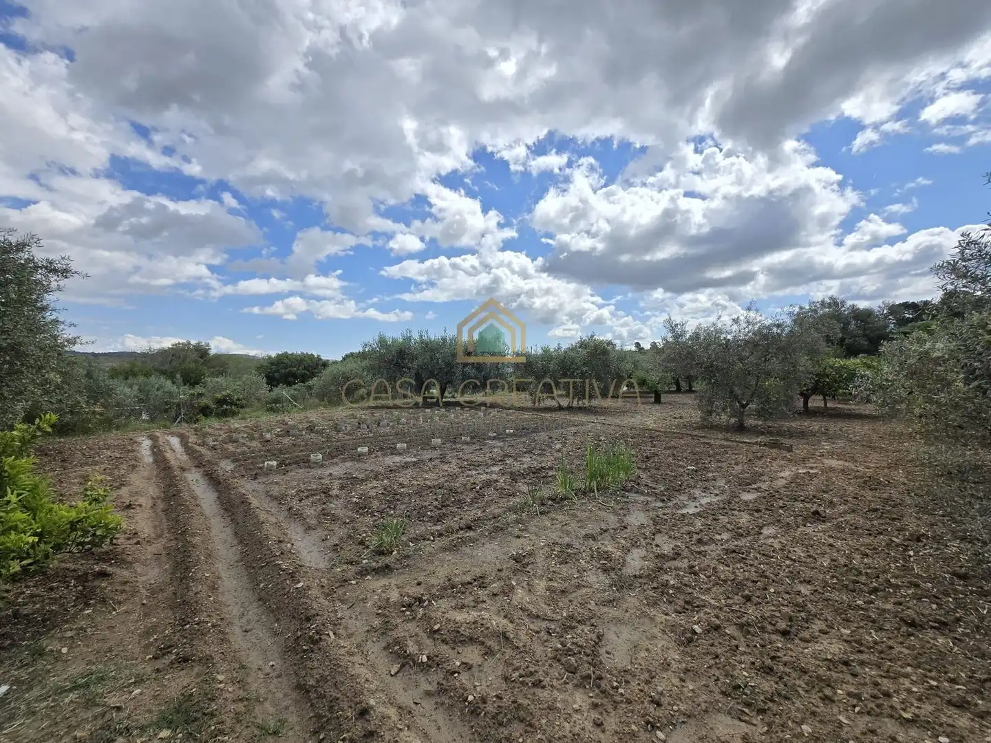 Xalet amb piscina en venda a POLIGONO 15, PARCELA 295, EL RINCON 0, imagen 94