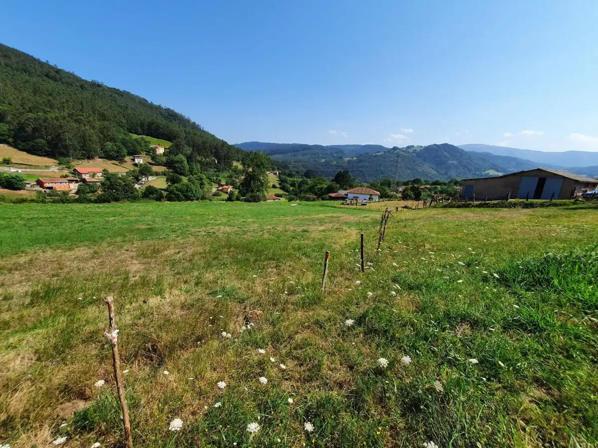 Terrenos y solares en venta en Salas, imagen 3