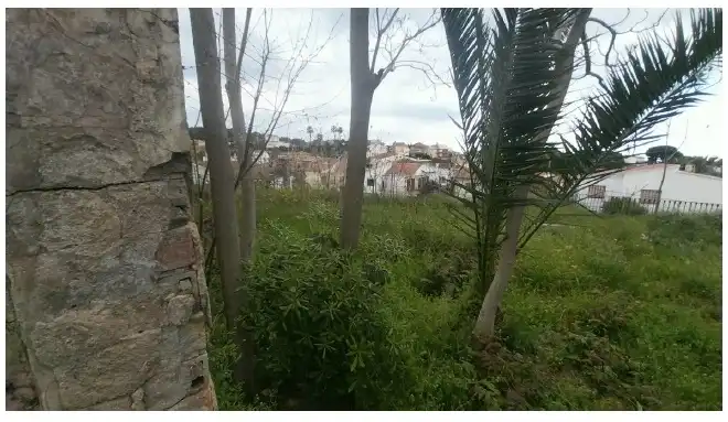 Terreny residencial en venda a Pinemar, imagen 11
