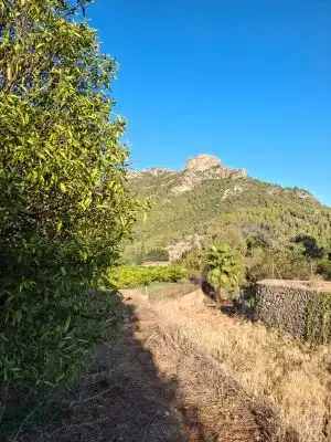 Terrain rustique à vendre à Terrenos MARXUQUERA  ALTA, imagen 26