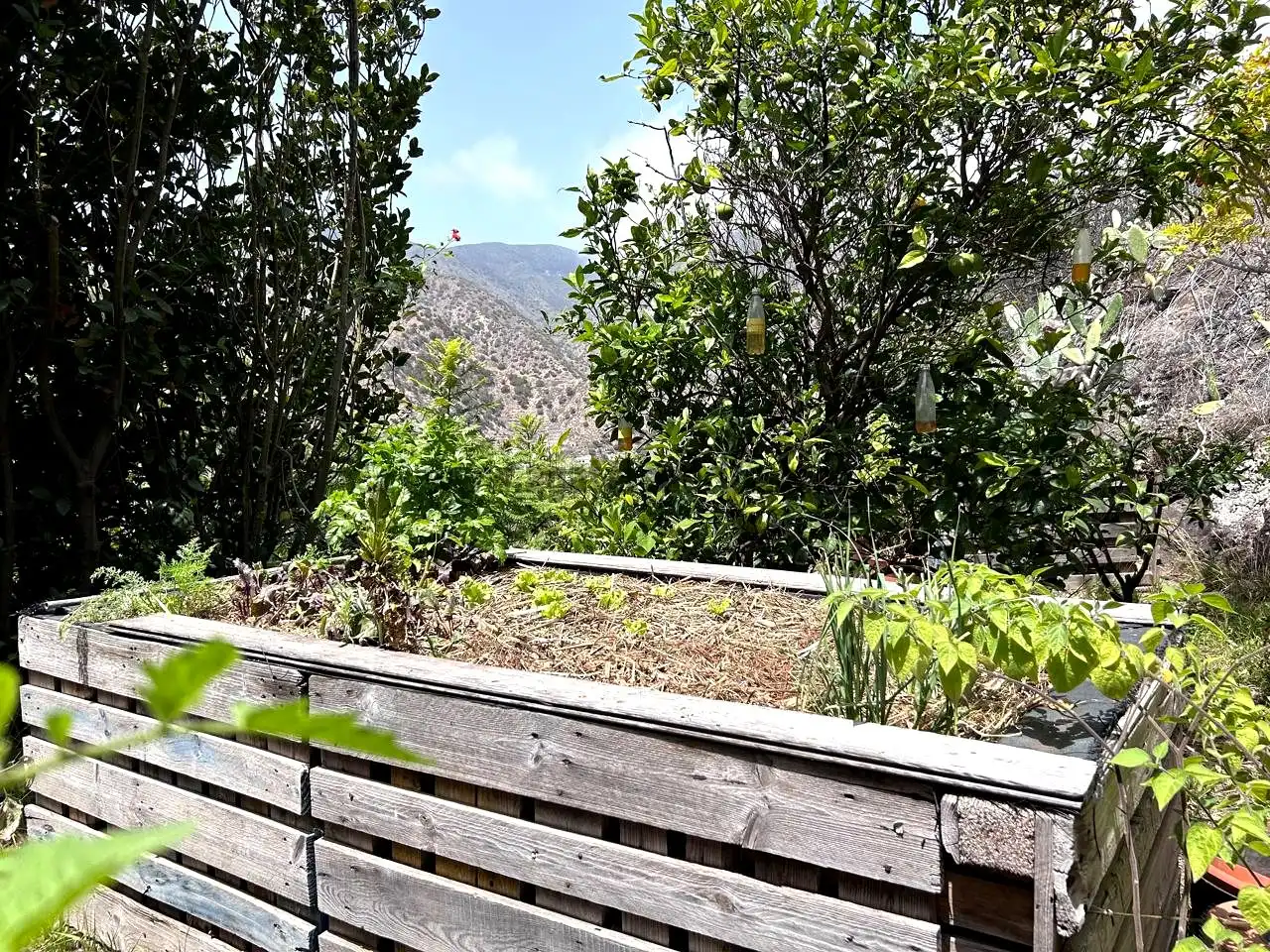 Jardín de Finca rústica en venta en Vallehermoso con Aire acondicionado, Calefacción y Jardín privado