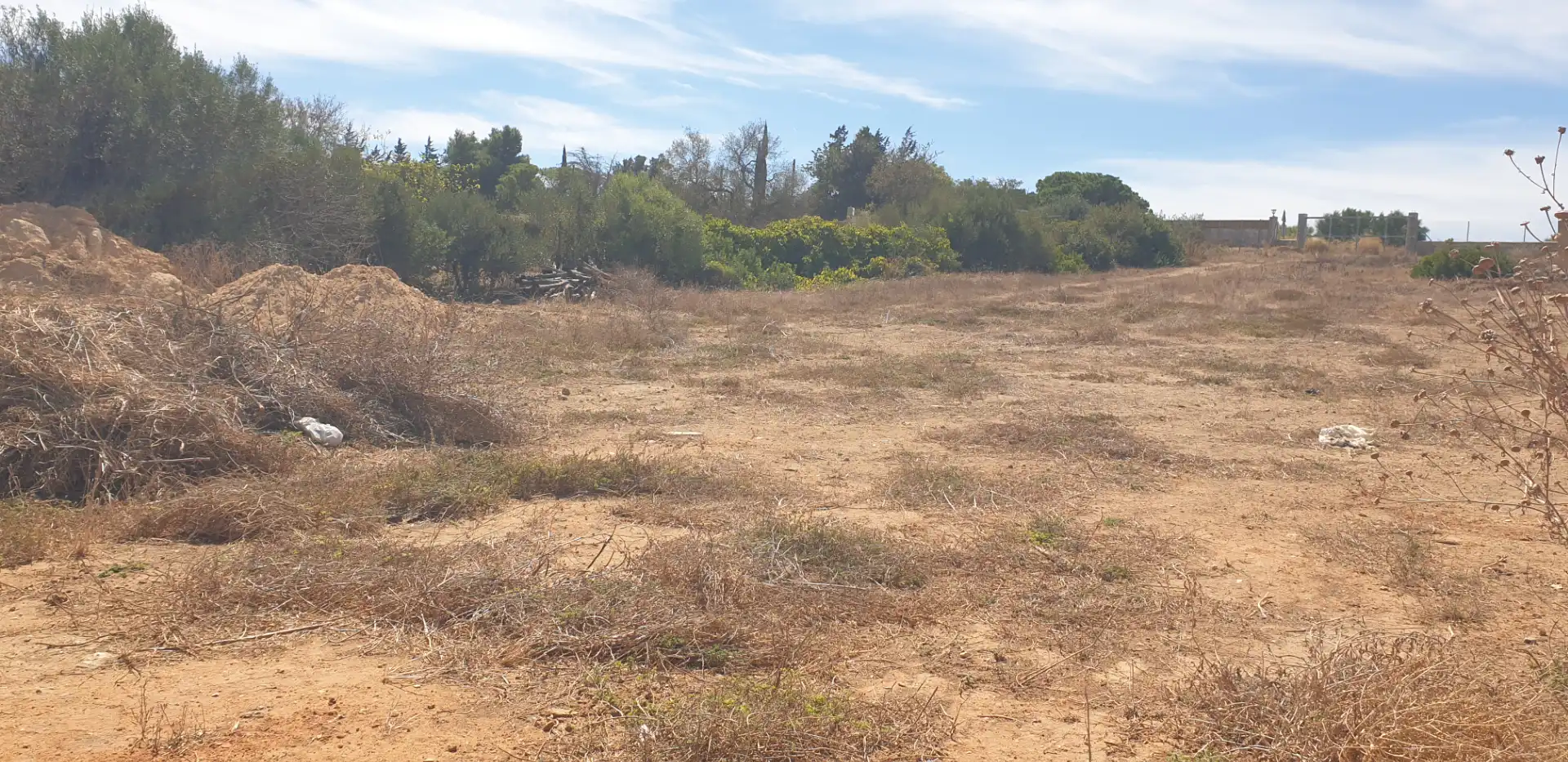Terreny rústic en venda a Las Lagunas - Campano, imagen 2