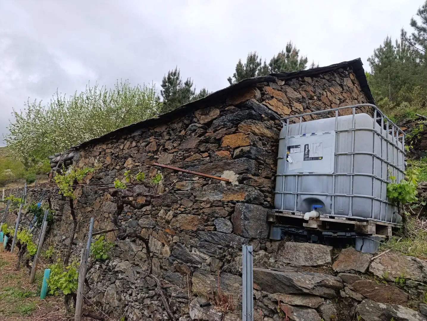 Casa rústica amb jardí en venda a O Saviñao, imagen 14