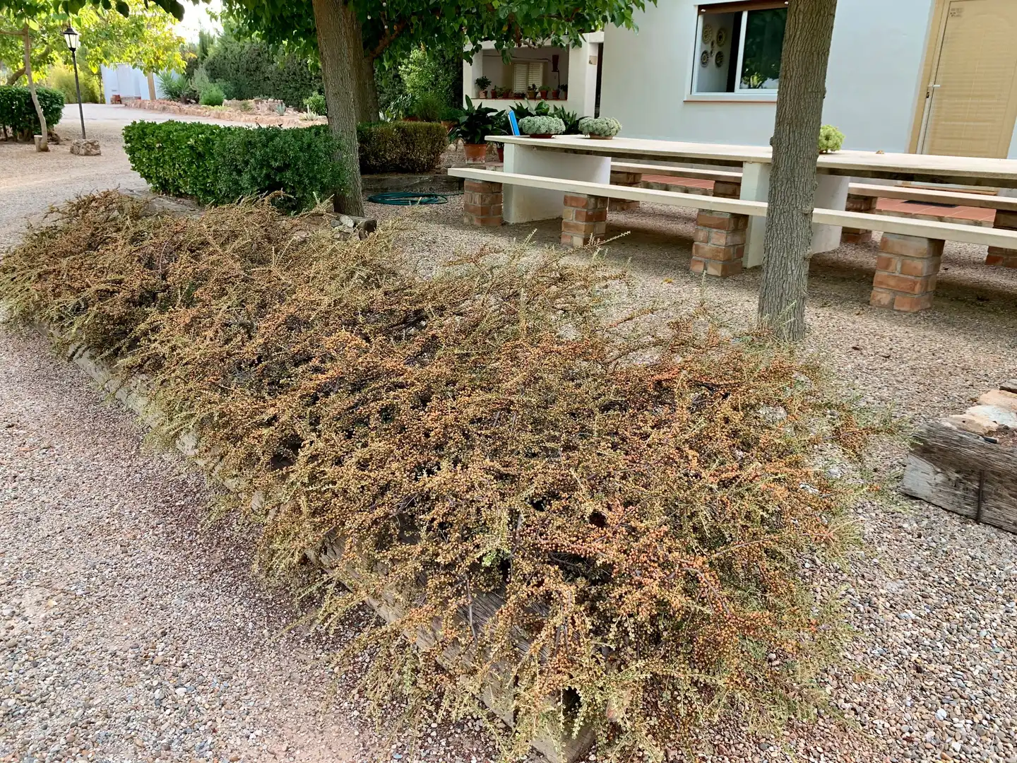 Terrain rustique à vendre à Alcover, imagen 25