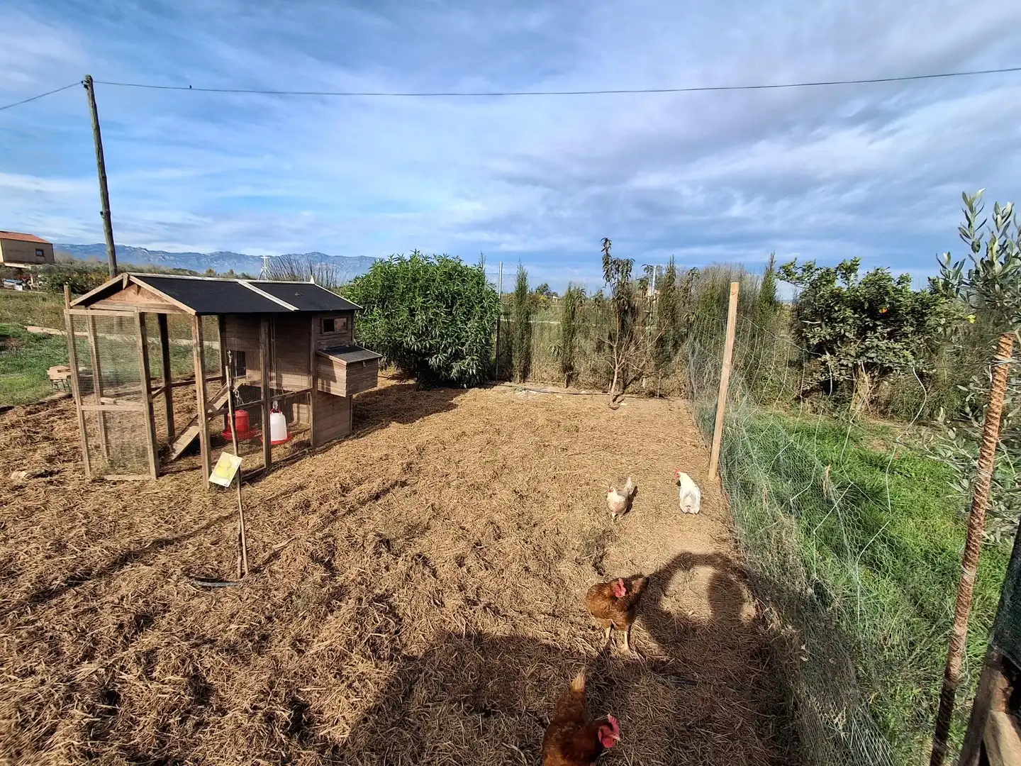 Casa o xalet en venda en Amposta