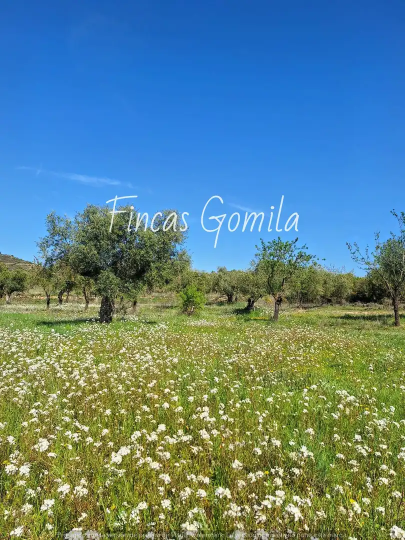 Rural land for sale in 8, imagen 27