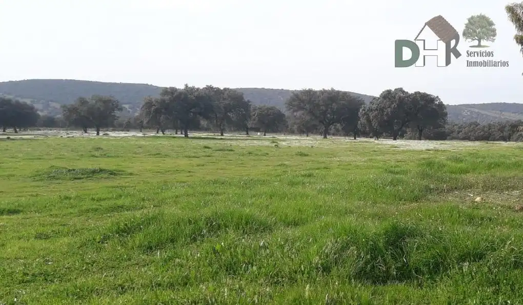 Terrenys i solars en venda a Santa María  - Pío XII
