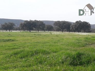 Terrenys i solars en venda a Santa María  - Pío XII