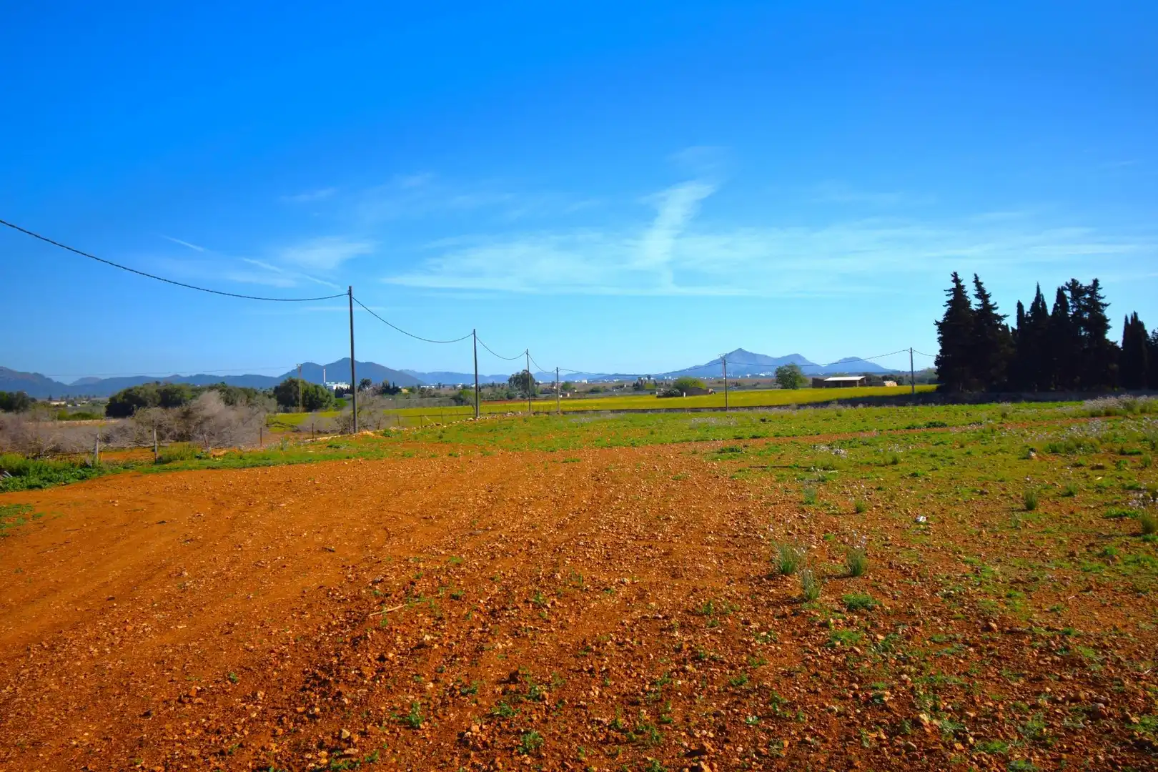 Casa rústica con piscina en venta en Muro, imagen 19
