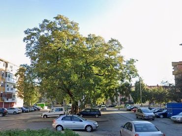 Pis amb ascensor en venda a VICTORIA DOMINGUEZ CERRATO