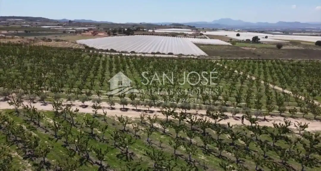 Terreno residencial en venta en Monforte del Cid, imagen 10