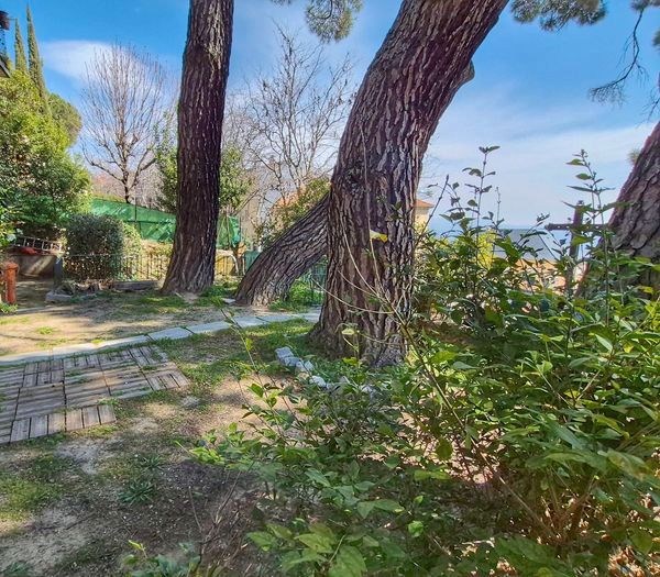 Garden of Flat for sale in San Lorenzo de El Escorial  with Private garden and Terrace