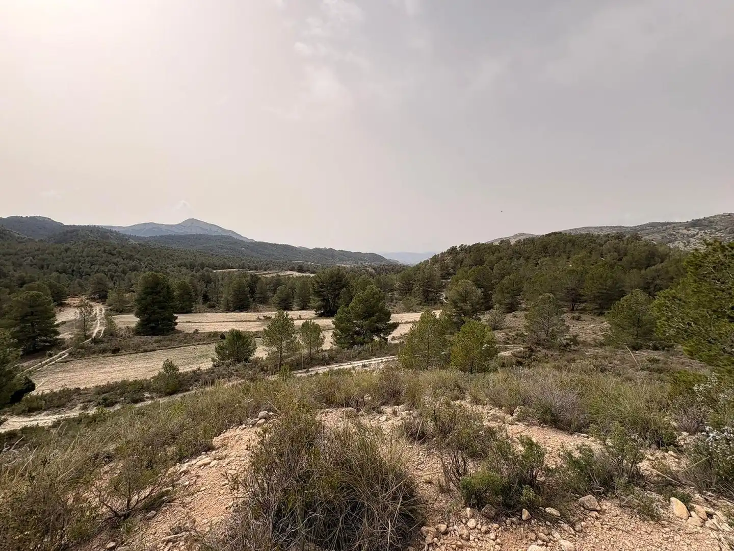 Terreno rustico in vendita a Petrer, imagen 15