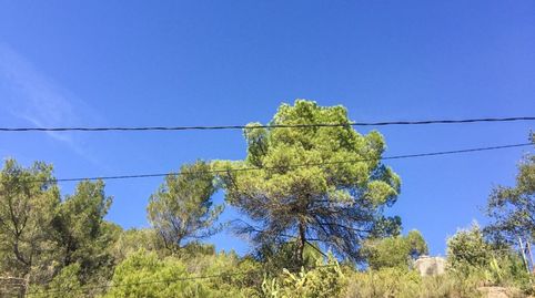TERRENO URBANO EN RELLINARS DE 946 M2  ZONA EL PLANET, immagine 4